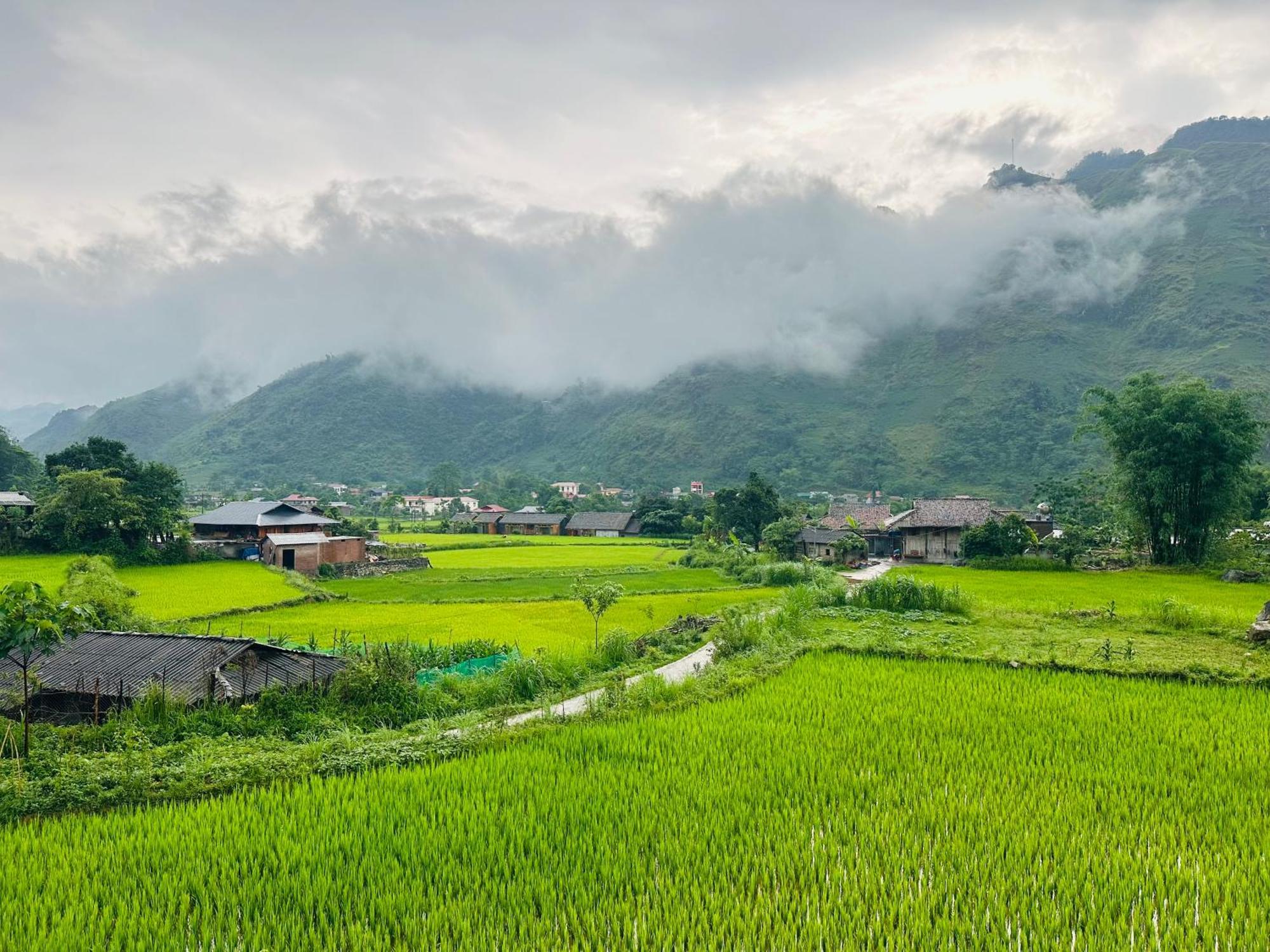 Du Gia Field View Homestay Làng Cac Exterior foto